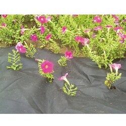 Crno Pokrivalo 3,2x5m, 50g/m2 Cene