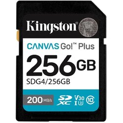 Kingston SD card Kingston 256 GB SDG4/256GB SDXC,r/w:200/160MB/s, DSLRs, mirrorless cameras, 4K video Cijene