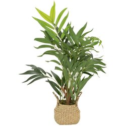 MID.YOU Umetna Rastlina Chamaedorea Cene