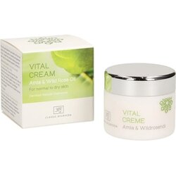 Classic Ayurveda vitalna krema Cene