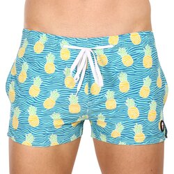 69SLAM Mens Swimwear zebra pine bajo Cene