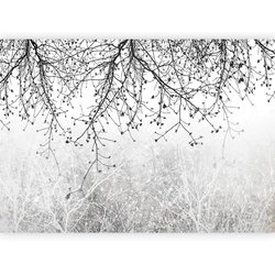 Artgeist Foto tapeta - Natural Brightness 400x280 Cene