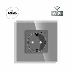 WIFI pametna uticnica, ugradna, stakleni panel sivi, 16A WU0004 Cene