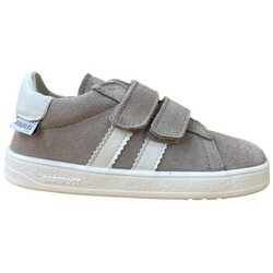 Pirufin Nizke superge PF209-1 Gris Siva Cene