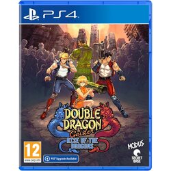 Double Dragon Gaiden Rise of the Dragons (PS4) Cene