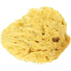 Koutouzis Natural Sea Sponges Prirodna spužva "Honeycomb" - S Cene
