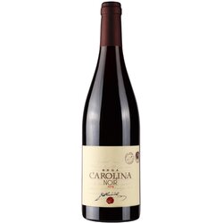 Vinarija Jakončić Carolina Noir 10202038 2019 Cene