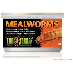 Exo Terra Hagen hrana za reptile, brašnari 34 g Cene