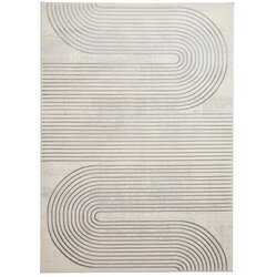 Think Rugs sivo/bež tepih 220x160 cm Apollo Cene