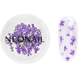 NeoNail Dried Flowers osušeni cvijet za nokte nijansa 06 Violet 1 kom Cene