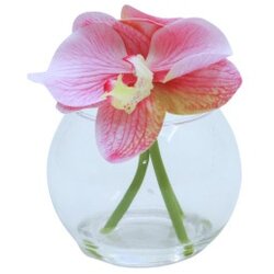 Dekordom Cvet orchid - n58 ( 025189 ) Cene