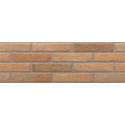 El Molino ascot fuego 20X60 M92 Cene