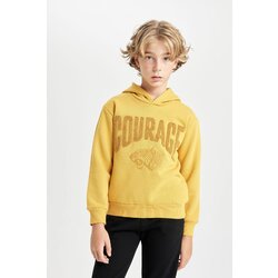 Defacto Boy Oversize Fit Printed Hooded Thick Sweatshirt Cene