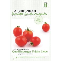 Arche Noah Ekološki paradižnik "Quedlinburger Frühe Liebe" Cene
