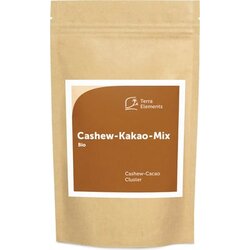 Terra Elements indijski oreščki v čokoladi - mešanica bio Cene
