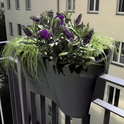 rephorm Lonec za ograjo "Steckling Duo" - Grafit (antracit) Cene