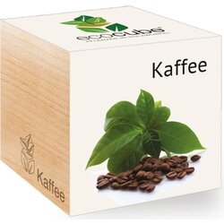 Feel Green ecocube "Exotics" - kava Cene