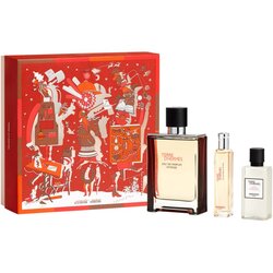 HERMÈS Terre d’Hermès Eau de Toilette Intense Set darilni set za moške Cene