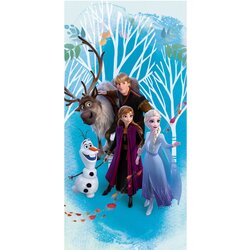 Darymex Plavi pamučan dječji ručnik 70x140 cm Frozen "Blue" – Cene