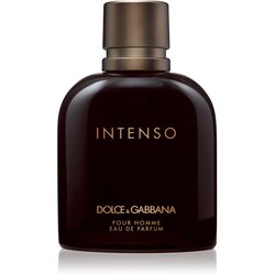 Dolce & Gabbana Pour Homme Intenso parfumska voda za moške 200 ml Cene