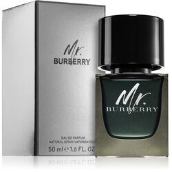Burberry Mr. parfumska voda za moške 50 ml Cene