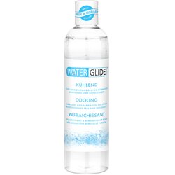 Waterglide Cooling 300ml Cene