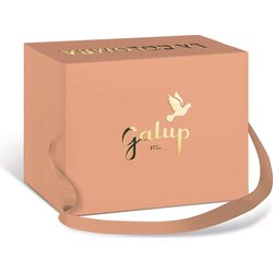 Galup Colomba z breskvijo in vanilijo - 750 g Cene
