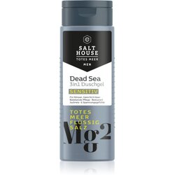 Salt House Dead Sea Men gel za tuširanje za muškarce 3 u 1 250 ml Cene