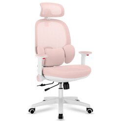  Dječja okretna stolica Junior 6.3 Pink Cijene