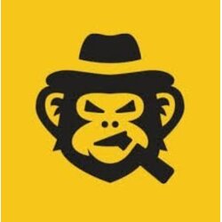 CS Gift Cards SkinsMonkey Wallet Card 250 USD Key GLOBAL Cene