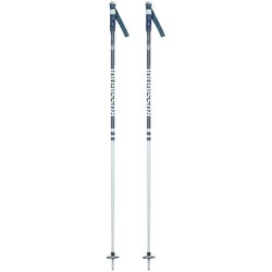 Rossignol Ski štapovi Stove Hero Grip Teal/Green - 115cm Cene