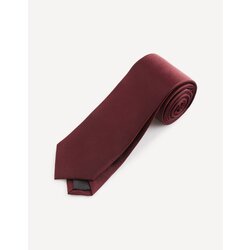 Celio Tie Ritiefine - Men's Cene