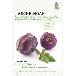 Arche Noah Ekološka koleraba "modra slanina" Cene
