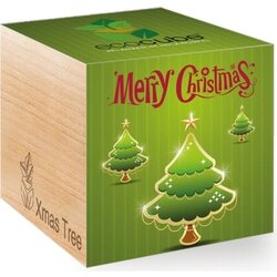 Feel Green ecocube "Xmas" - Xmas 2 Cene
