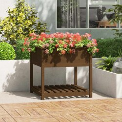 vidaXL Visoka greda s polico med. rjava 82,5x82,5x81 cm trdna borovina Cene