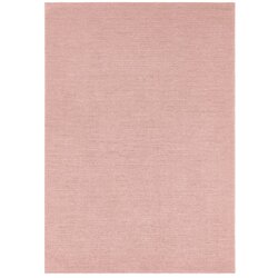 Mint Rugs ružičasti tepih metvice Rugs SuperSoft, 120 x 170 cm Cene