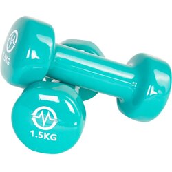 Master Sport Master set bučica od vinila 2x1,5 kg Cene