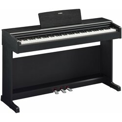 Yamaha YDP-145 Black Digitalni piano Cene