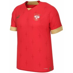 Puma fss home jersey promo, muški dres za košarku, crvena 765759 Cene