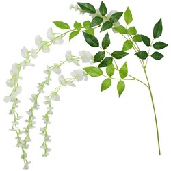 Ginger Ray® glicinija white Cene