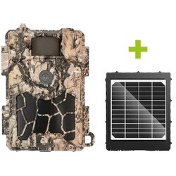OXE Lovska kamera Spider 4G in sončna plošča + 32 GB SD kartica, 8 baterij in stativa BREZPLAČNO! Cene