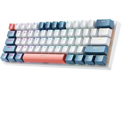 Machenike K500-B61 MEHANSKA IGRALNA TIPKOVNICA ZA PC XBOX PS4, (5000262135) Cene