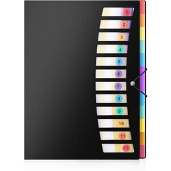 Venisymlis 24 žepov Poly Project Organizer Letter Size, Expandding Project Sorter Heavy Duty, (22060635) Cene