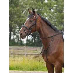 Busse Martingale BASIC-PRO Cene
