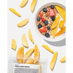 Vilgain Liofilizirano voće - mango - 50 g Cene