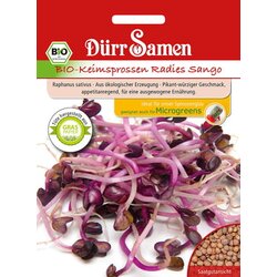 Dürr Samen BIO kalčki redkvica Sango Cene