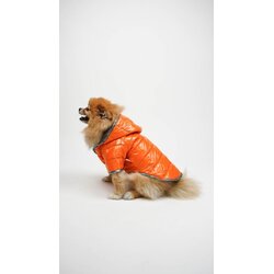 Paws & Whiskers Odelo za pse Moncler, Narandžasto Cijene