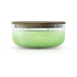 Mellow mirisna svijeća ivy 240g Cene