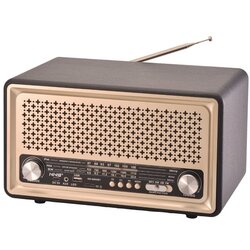 Retro Bluetooth radio 6690BT/B Cene