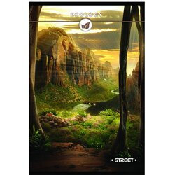 STREET Zvezek A4 , visoki karo, 96 listov, sortirano, 1 kos Cene